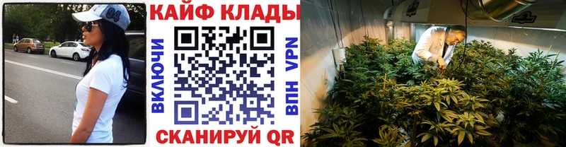 Где купить наркоту Нелидово Псилоцибиновые грибы  NBOMe  АМФ  Бошки Шишки  Меф мяу мяу  МЕГА tor  КОКАИН  Alpha PVP 