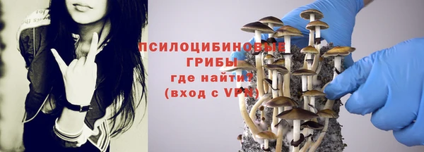 бошки Абдулино