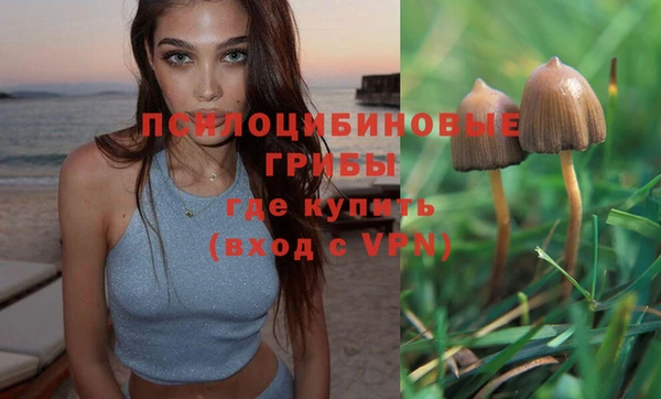 spice Алексеевка